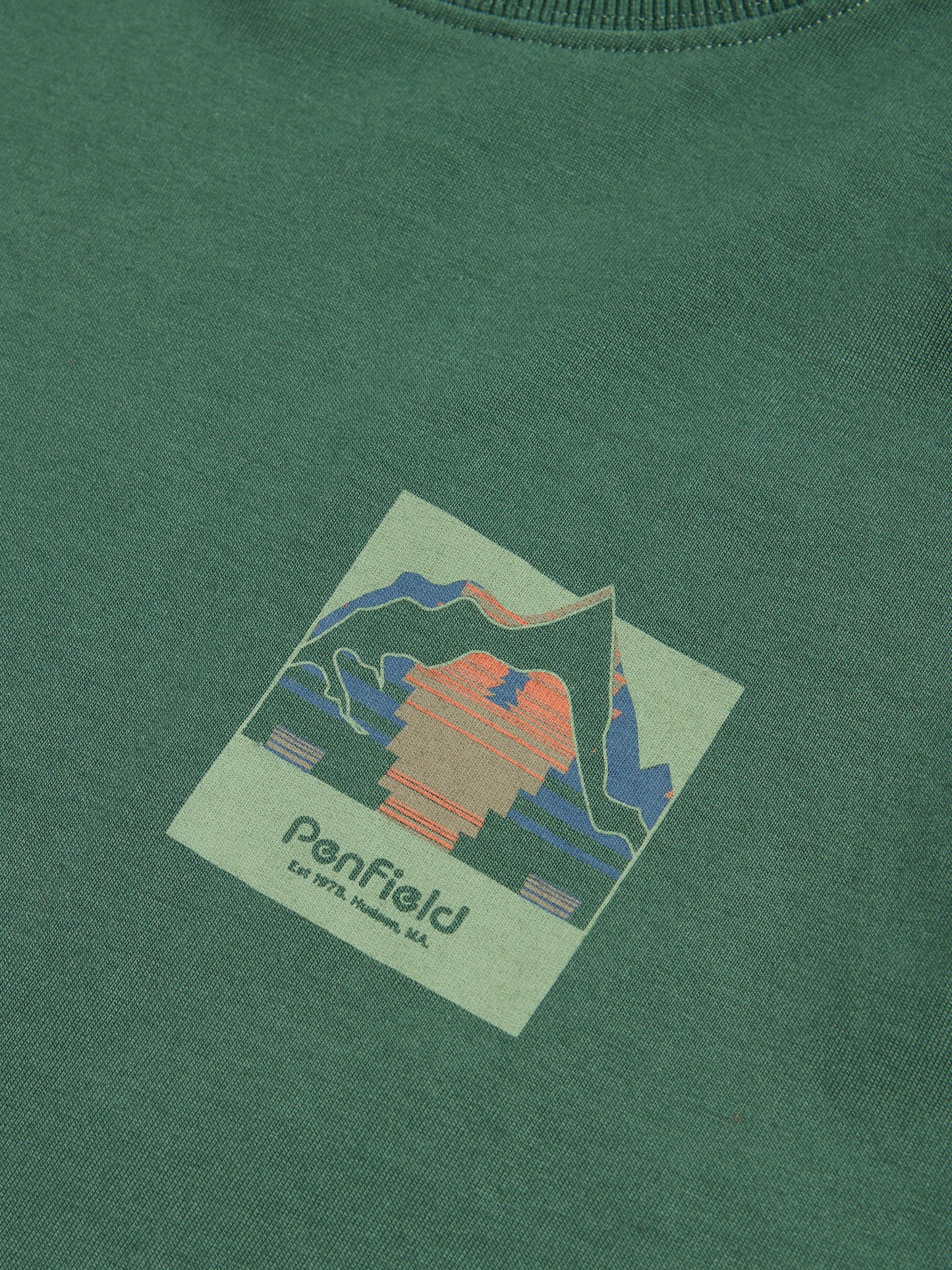 Mountain Back Forefounders Tee - Cilantro